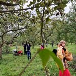 Jablkobraní 2025: Když se stromy znovu nadechly