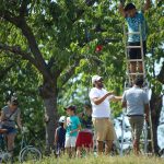 Když Třešňovka zrála: příběh Třešňobraní 2025