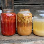 Jablečné octy – workshop / celý den